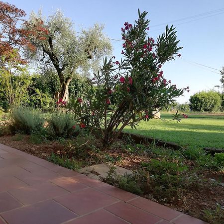 Villa Caterina Country Apartment Bedizzole Dış mekan fotoğraf