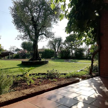 Villa Caterina Country Apartment Bedizzole Dış mekan fotoğraf